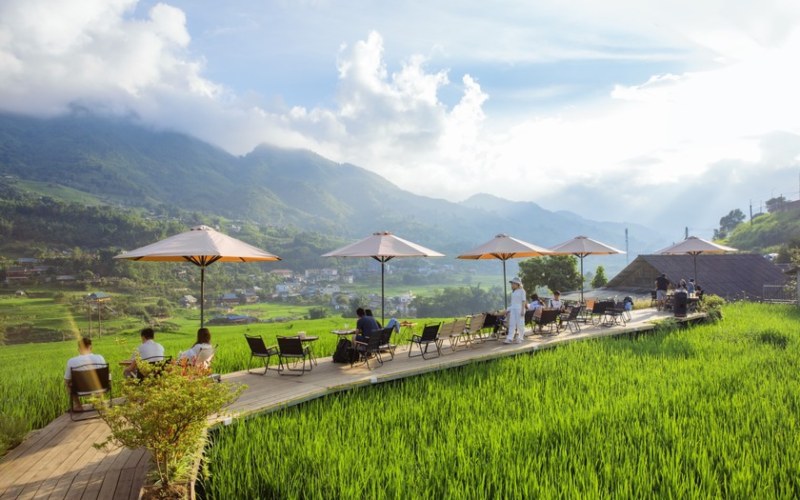 Khám phá 5 quán cà phê ngắm mùa lúa chín đẹp như mơ ở Sa Pa
