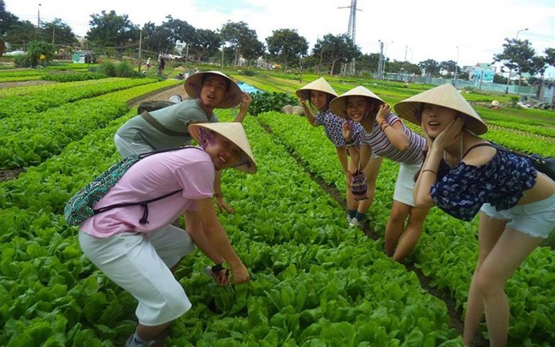 Làng rau Trà Quế