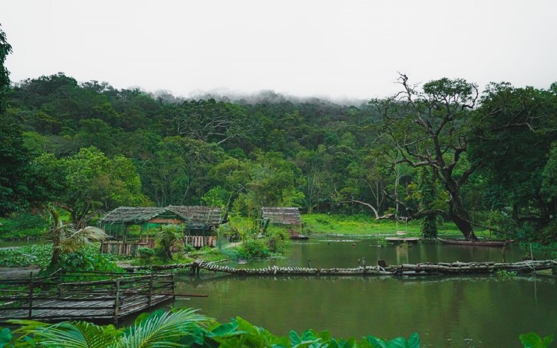 Nhất Lâm Thủy Trang Trà