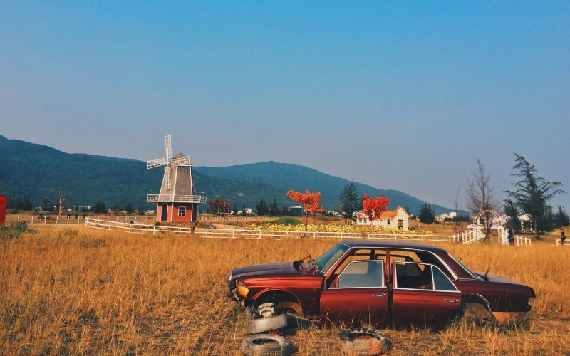 Thuận Phước Fields