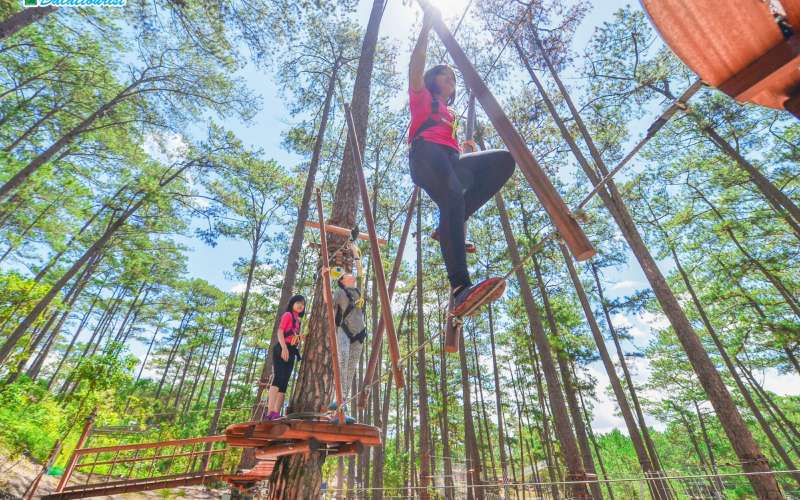 Datanla High Rope Course