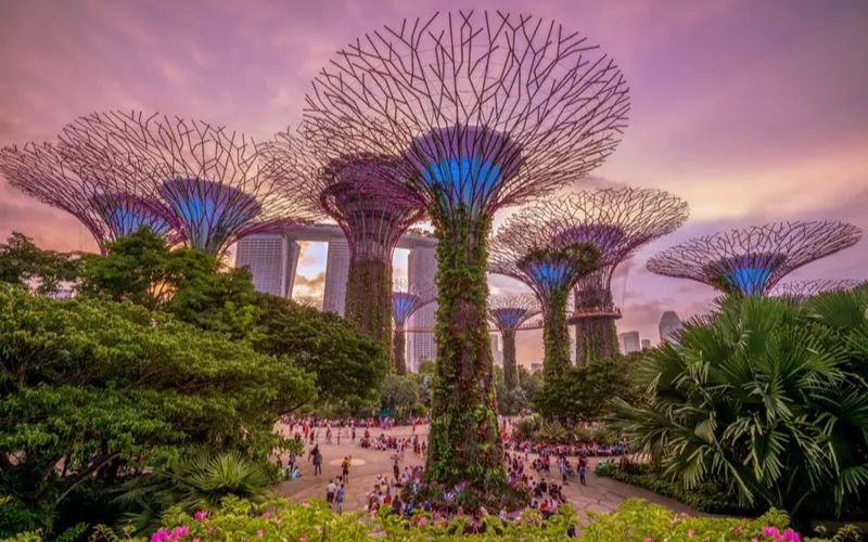 Gardens by the Bay - du lịch singapore 3 ngày 2 đêm giá rẻ