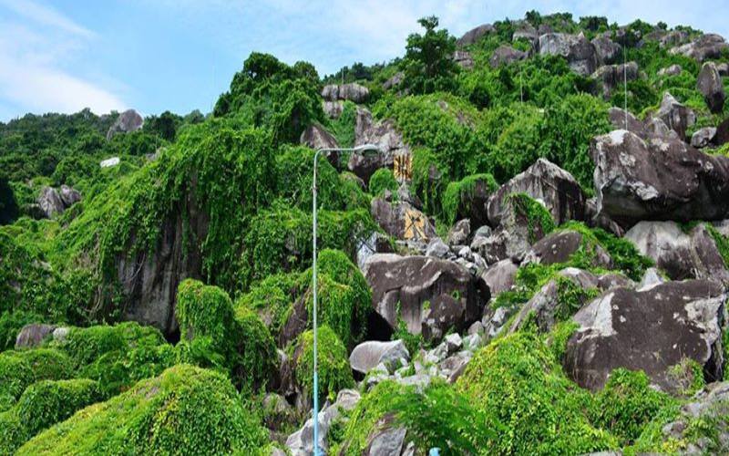Đồi Tức Dụp