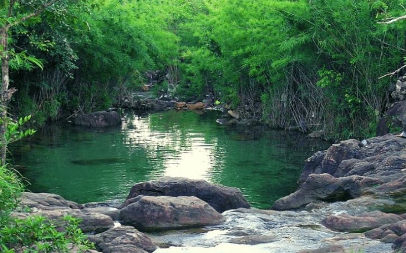 Suối Trúc