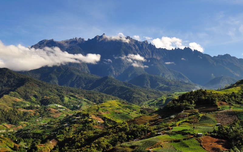 Vườn quốc gia Kinabalu