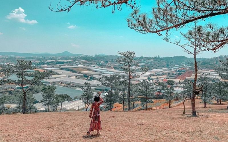 Background sống ảo đồi đa phú