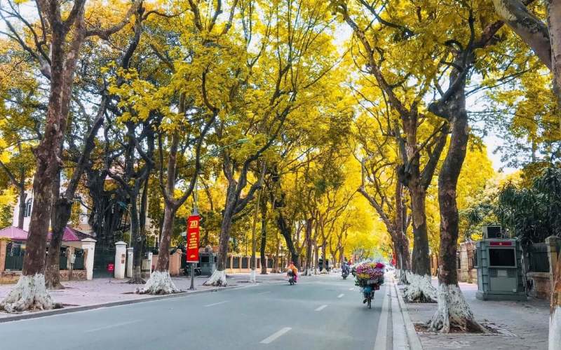 đường phố hà nội mùa thu