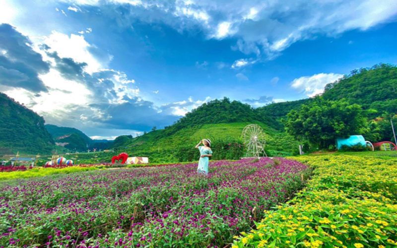 Mộc Châu Happy Land