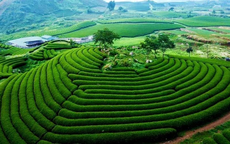 Mộc Châu nằm ở đâu