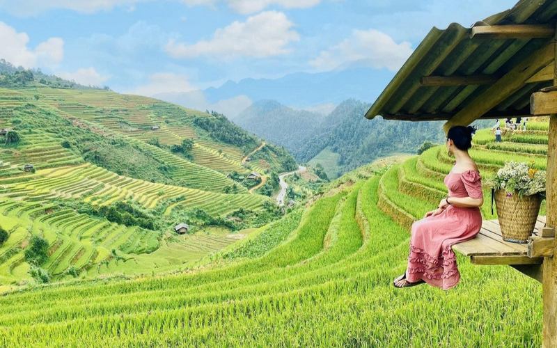 mù cang chải