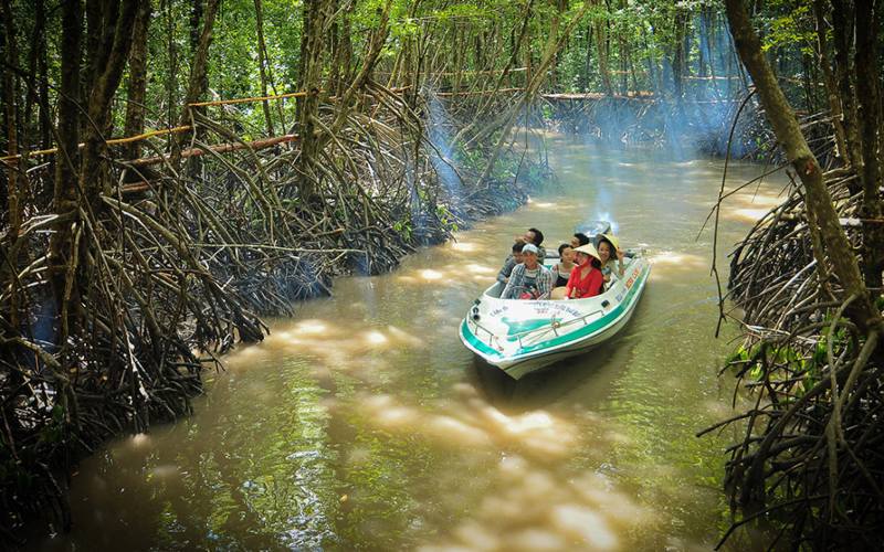 Rừng ngập mặn Cà Mau