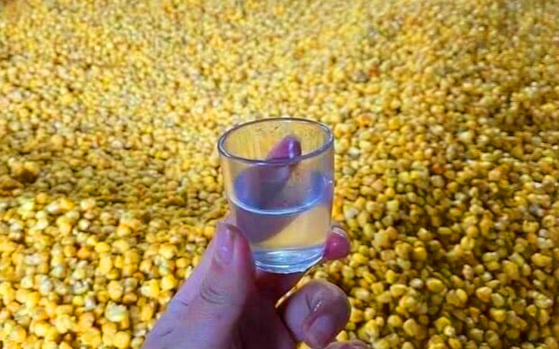 rượu ngô men lá