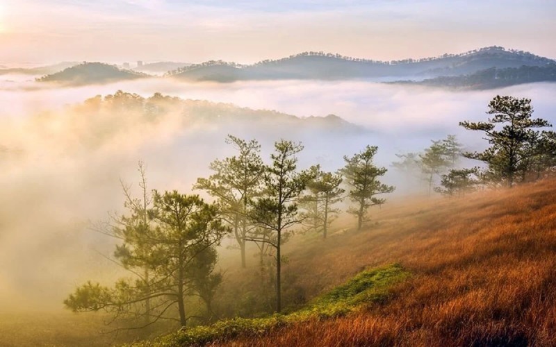 săn mây đồi đa 