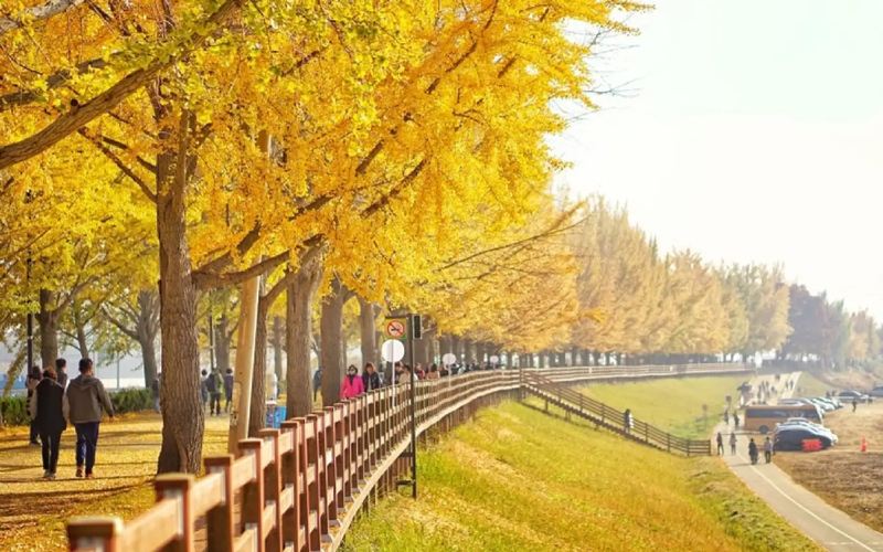 thời điểm đi du lịch Hàn Quốc