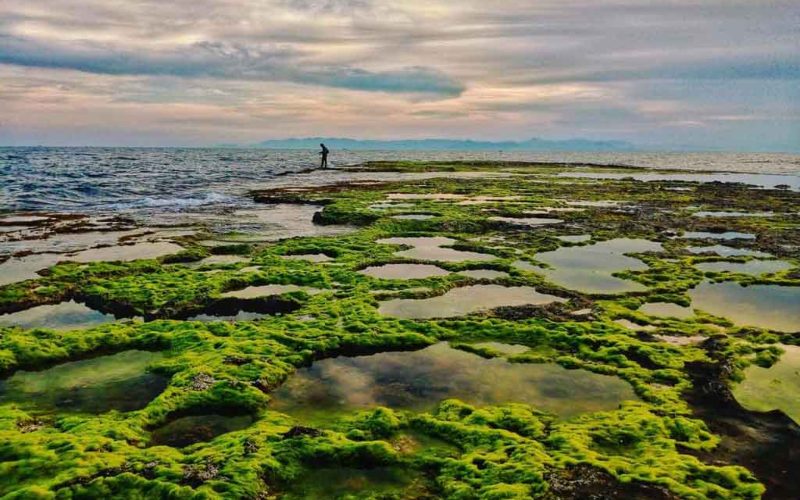 Thời điểm thăm Hòn Đỏ ninh thuận
