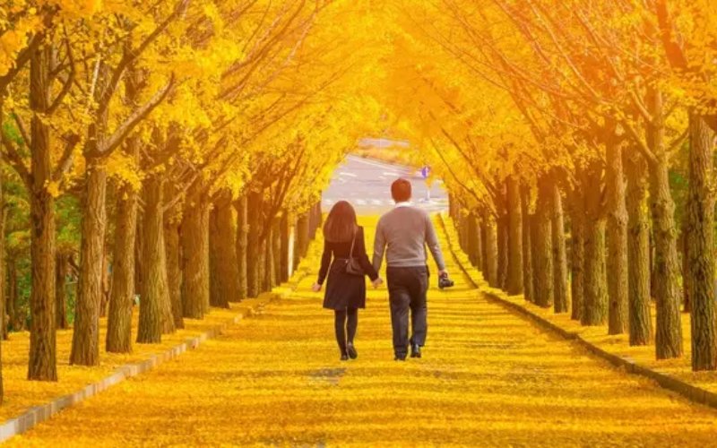 Thời tiết mùa thu ở Hàn Quốc