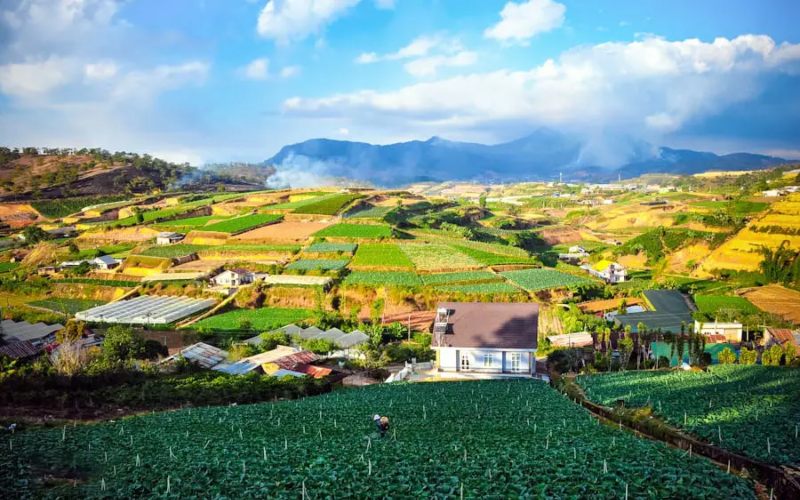 Trại Mát đà lạt