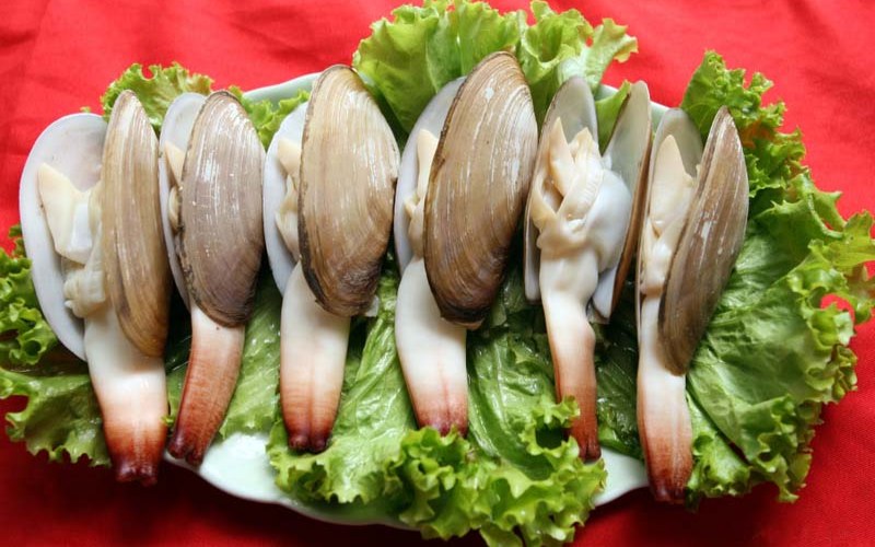 Tu hài