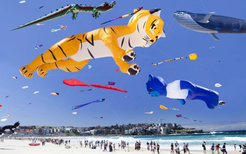 Festival of the Winds