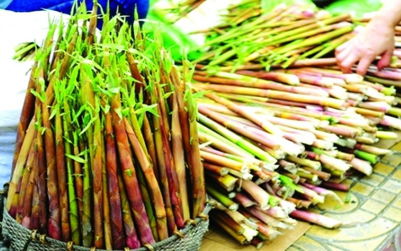 Măng trúc yên tử