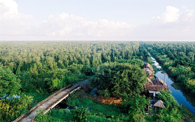 Rừng tràm U Minh Hạ