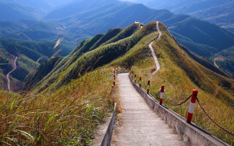 Sống lưng khủng long