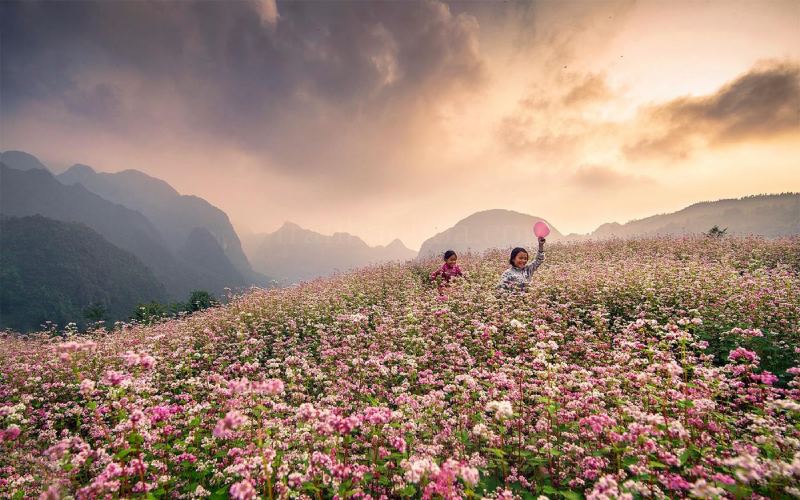 tháng 11 đi du lịch ở đâu