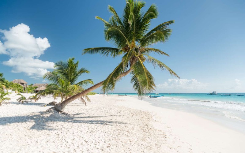 White Sand Beach