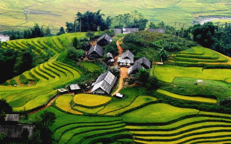 bản tả phìn