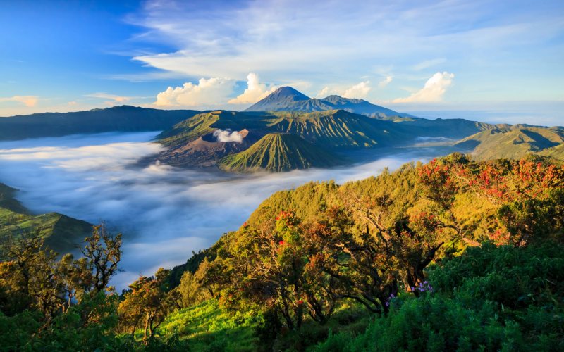 Công viên Quốc gia Bromo Tengger Semeru