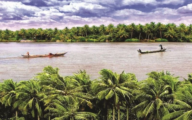 cù lao thới sơn có gì