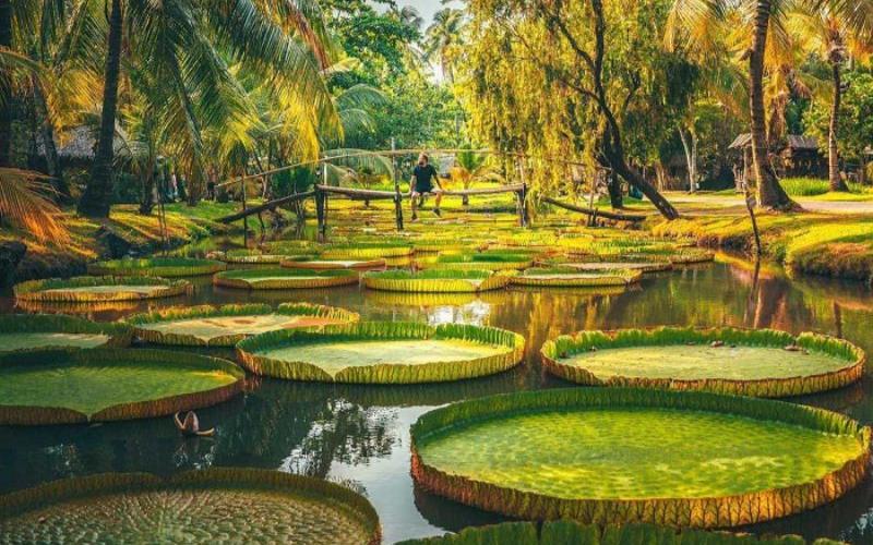 khu du lịch văn thánh