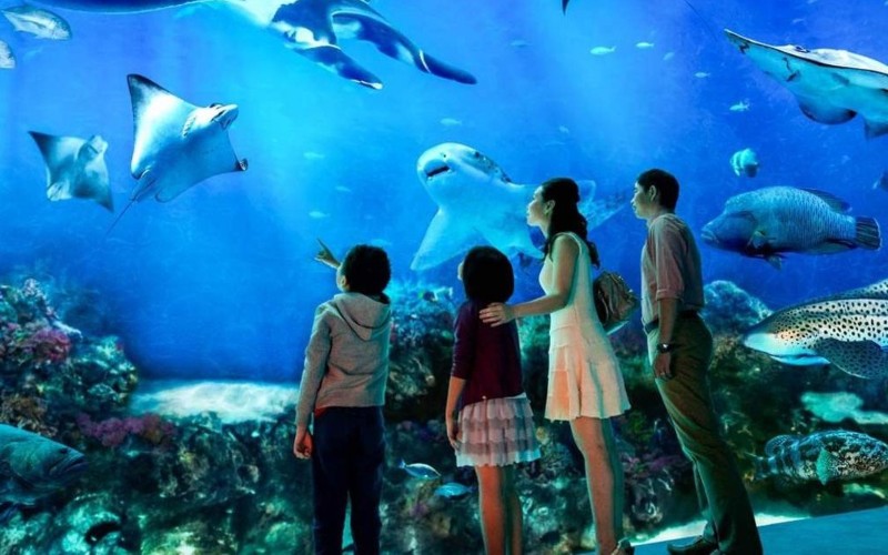 SEA LIFE Aquarium