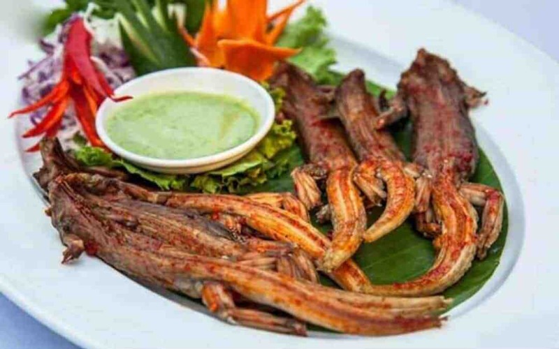 Thằn lằn núi Bà Đen
