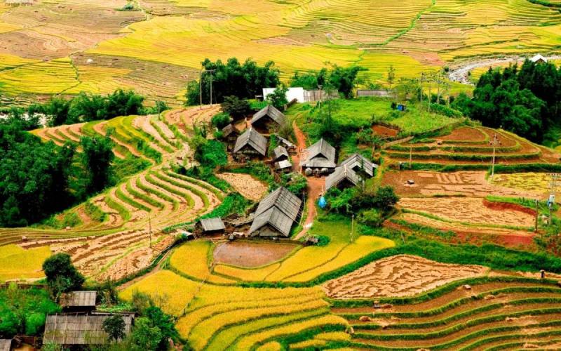 Tổng quan bản Tả Phìn