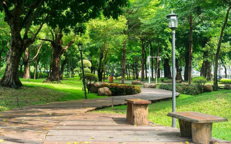 công viên gia định