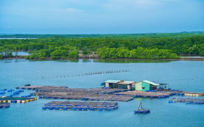 đảo Long Sơn Vũng Tàu