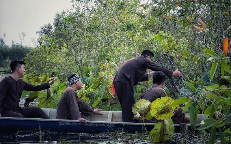 đặt lợp bắt cá đồng