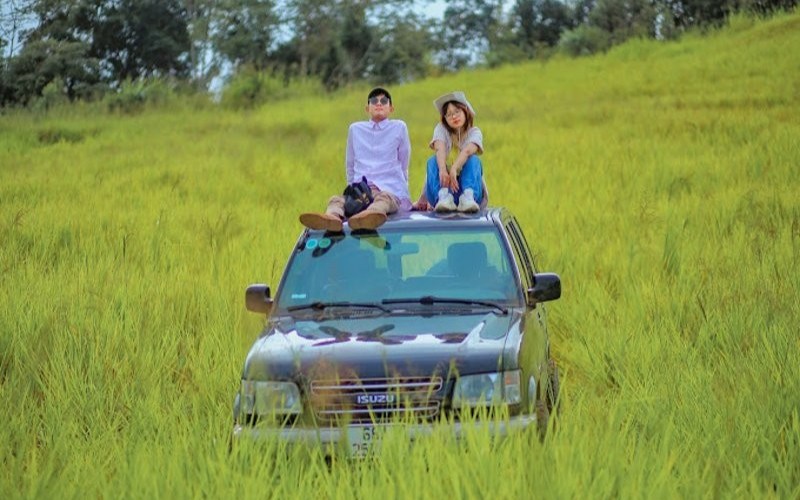 Đồi cỏ khu 37 hộ