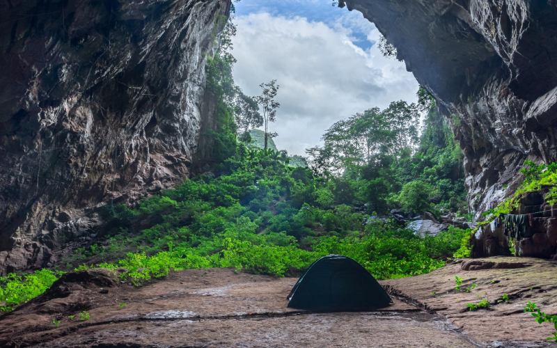hang hổ