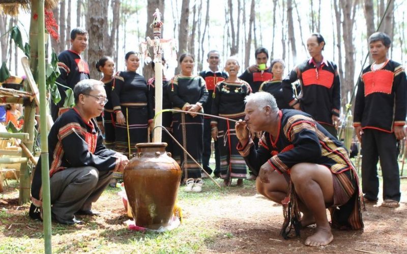 Nếm thử rượu men rừng người K’ho