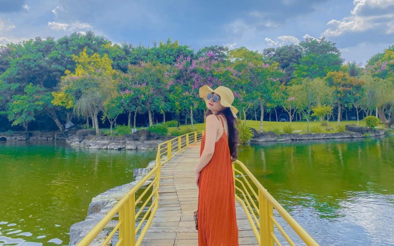 suối mơ đồng nai