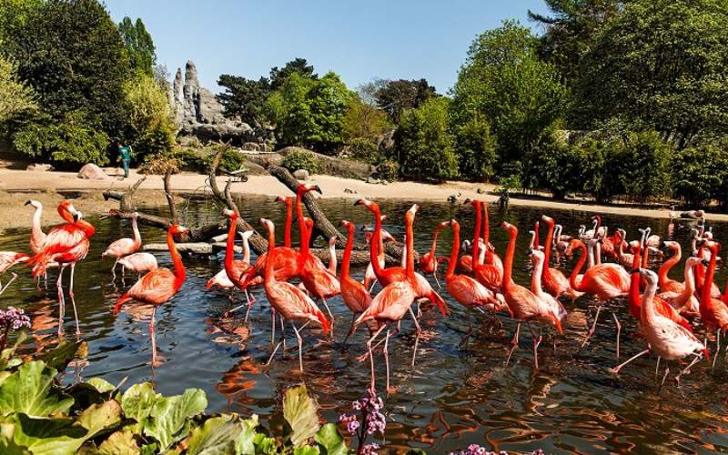 Vườn thú Tierpark Hagenbeck