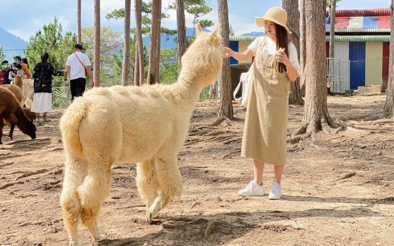 Vườn thú ZooDoo