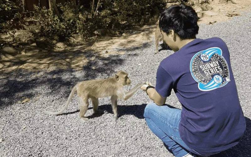 cho-khi-an-o-chua-khi