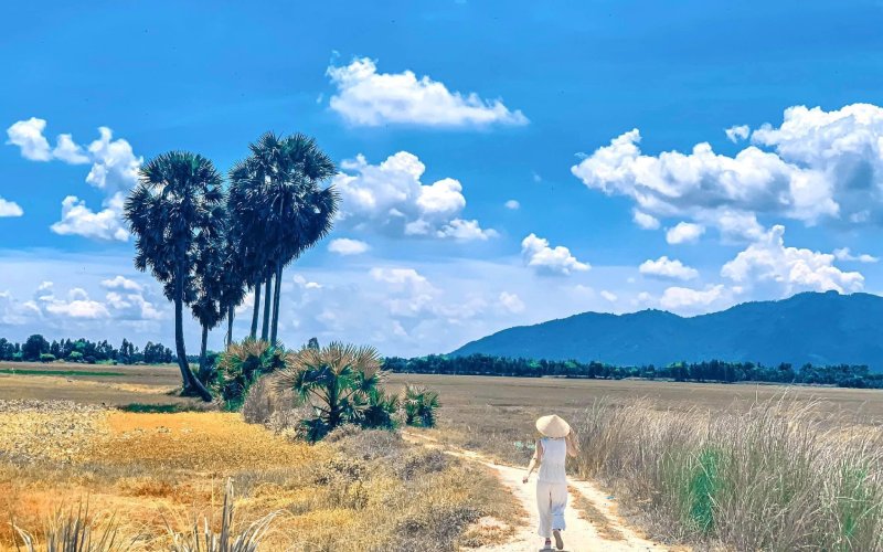 Hàng Thốt Nốt Trái Tim