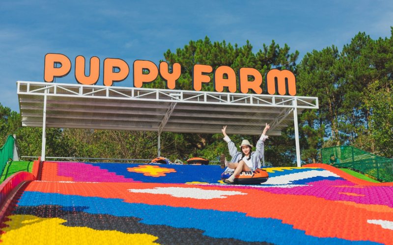 Puppy Farm