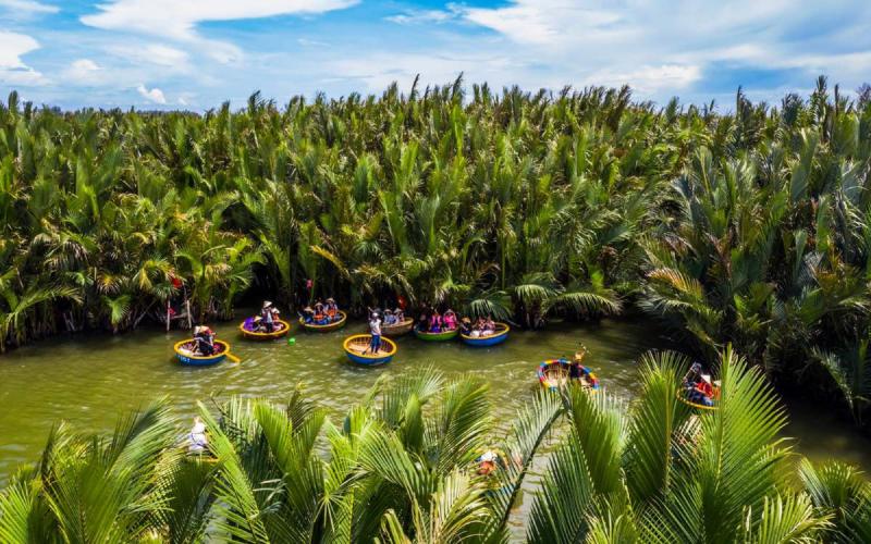 rừng dừa bảy mẫu