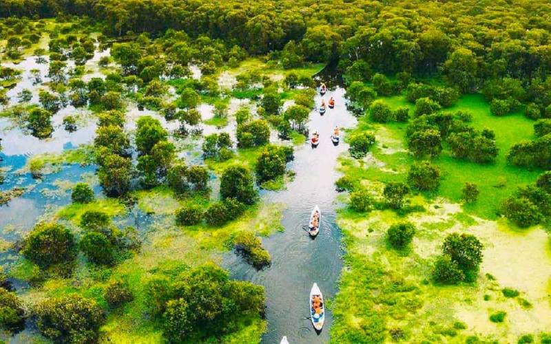 Rừng Tràm Trà Sư ở An Giang