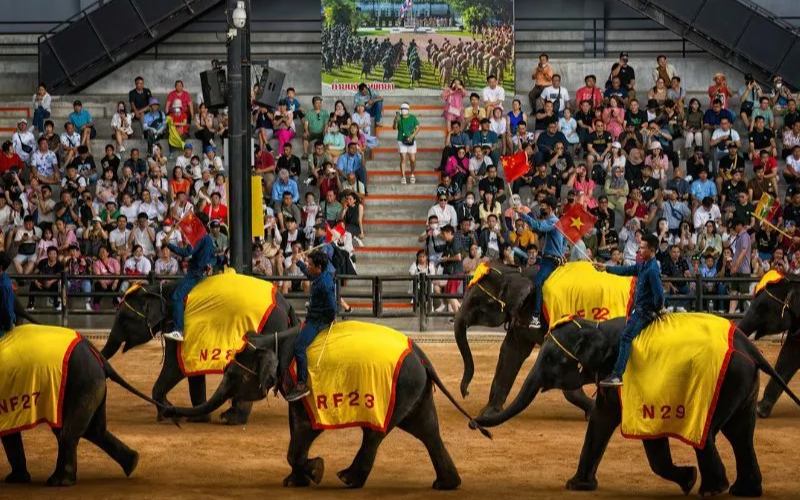 Show biểu diễn voi ở nong nooch